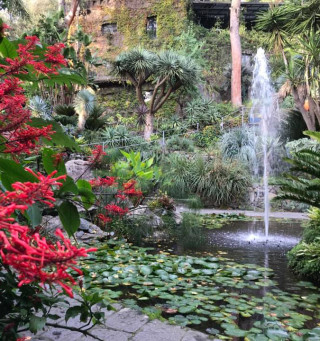 Ischia, i Giardini la Mortella saranno visitabili anche d'inverno