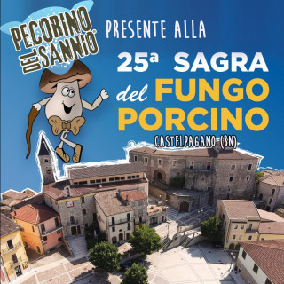 Sagra del Fungo porcino